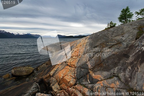 Image of Shoreline