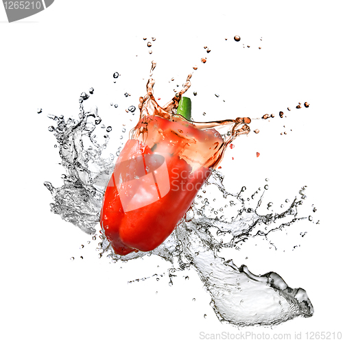 Image of fresh water splash on red pepper isolated on white