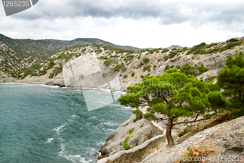 Image of landscape with mountains and sea