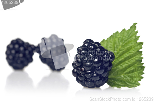 Image of blackberry with green leaf isolated on white