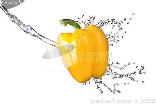 Image of fresh water splash on yellow sweet pepper isolated on white