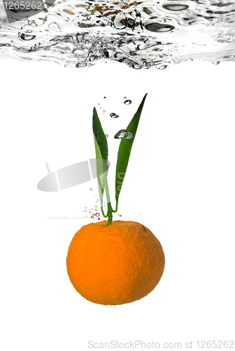 Image of tangerine dropped into water with bubbles on white