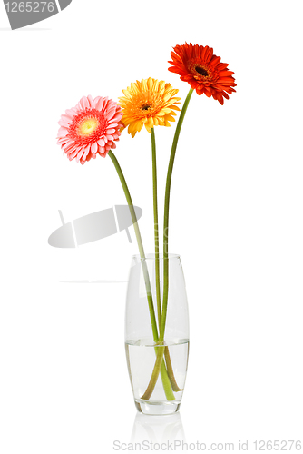 Image of Bouquet from daisy-gerbera in glass vase isolated on white