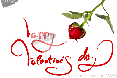 Image of greetings for valentine's day and heart from rose isolated on wh