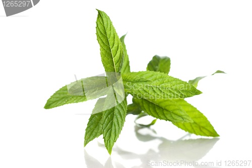 Image of green mint isolated on white