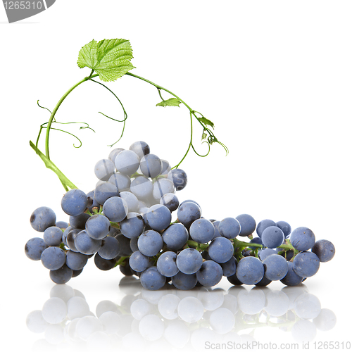 Image of blue grape with green leaf isolated on white