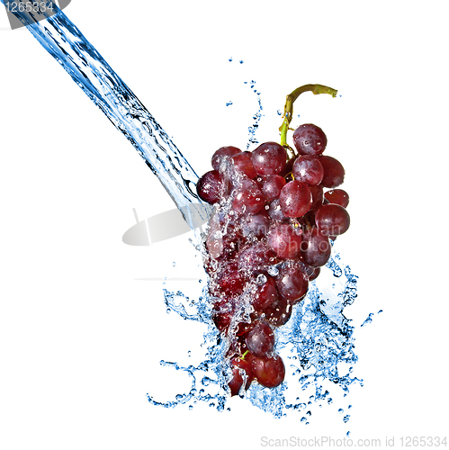 Image of blue grape with water splash isolated on white