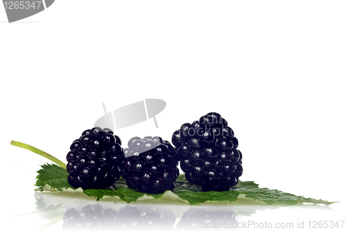 Image of blackberry with green leaf isolated on white 