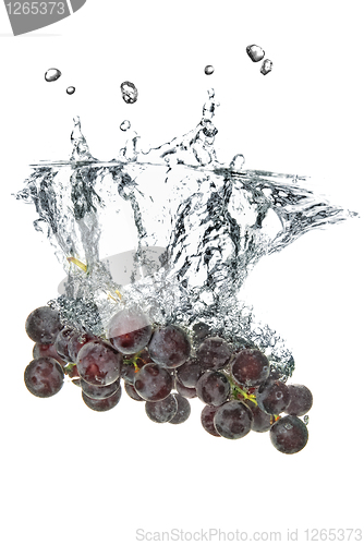 Image of blue grape dropped into water with splash isolated on white
