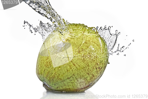 Image of fresh water splash on coconut isolated on white