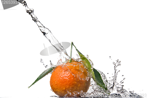 Image of Tangerine with green leaves and water splash isolated on white