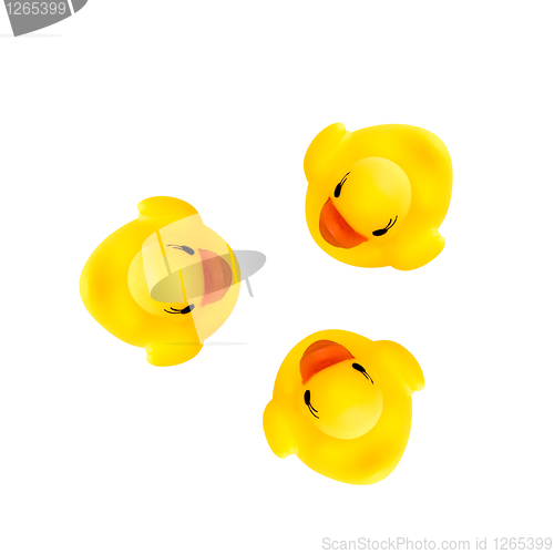 Image of three rubber yellow ducks isolated on white