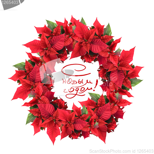 Image of christmas wreath from poinsettia