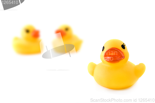 Image of three rubber yellow ducks isolated on white
