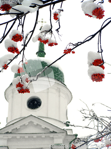 Image of Brunches of ashberry in snow against the church