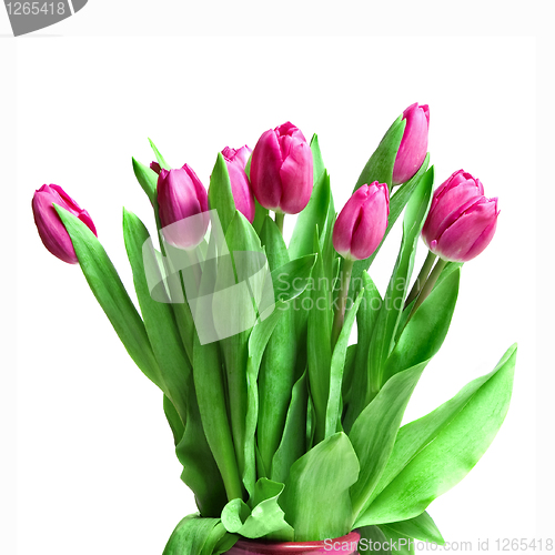 Image of bouquet from pink tulips isolated on white