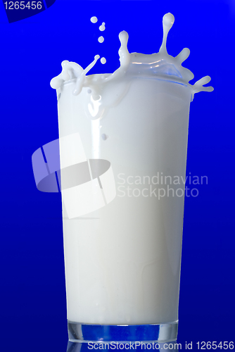 Image of Milk splash isolated on blue