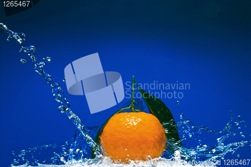Image of Tangerine with green leaves and water splash on blue background