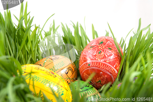 Image of color easter eggs in nest from green grass on white