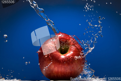 Image of Red apple with water splash on blue background