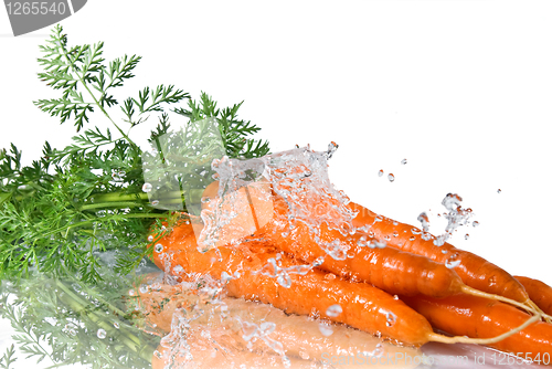 Image of fresh water splash on carrot isolated on white 