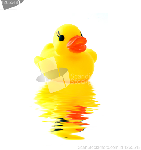 Image of rubber yellow duck with reflection isolated