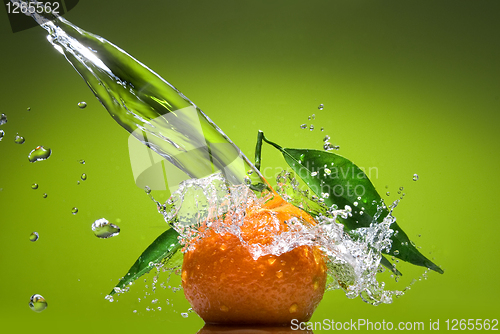 Image of Tangerine with green leaves and water splash on green background