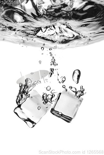 Image of ice cubes dropped into water with splash isolated on white