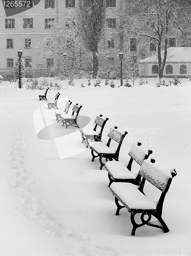 Image of Benches in snow