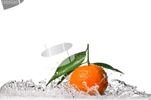 Image of Tangerine with green leaves and water splash isolated on white