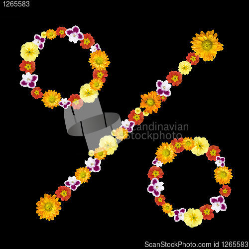 Image of decorative percentage symbol from color flowers