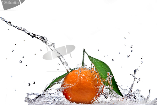 Image of Tangerine with green leaves and water splash isolated on white