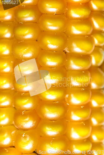 Image of macro photo of yellow corn