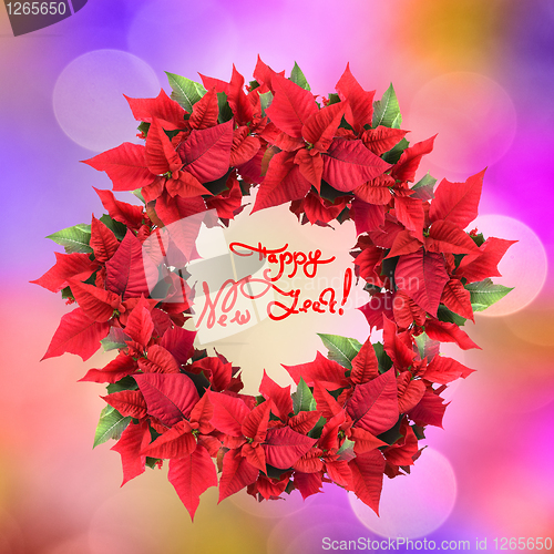 Image of christmas wreath from poinsettia on color light background