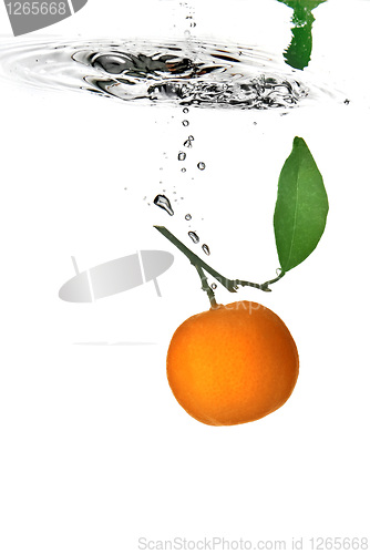 Image of tangerine dropped into water with bubbles on white