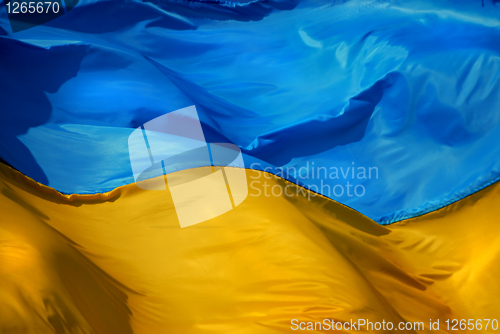 Image of Flag of the Ukraine