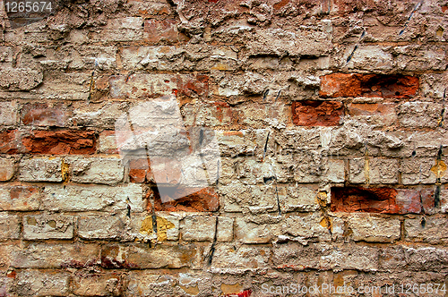 Image of Old grunge bricks wall texture