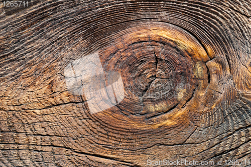 Image of wood texture