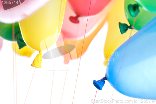 Image of color balloons isolated on white