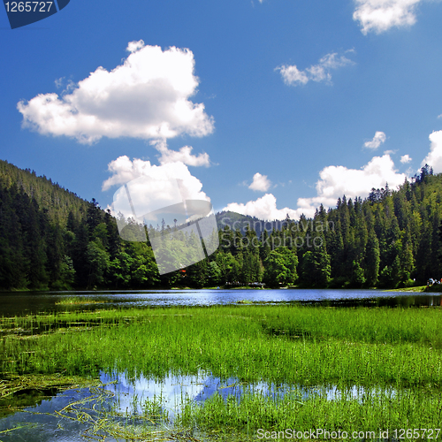 Image of Summer landscape with mountains and blue lake