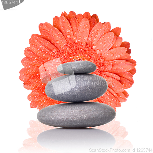 Image of Spa stones with red gerbera isolated on white