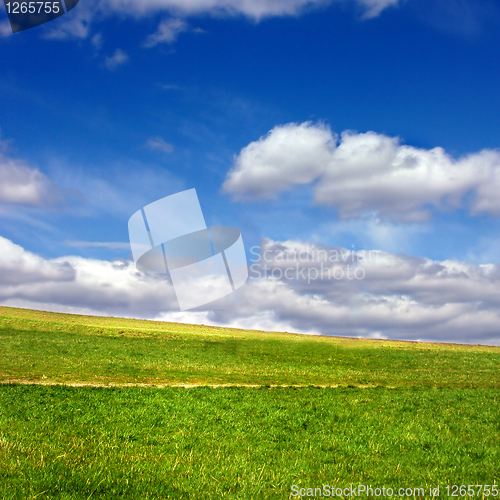 Image of Green field against blue sky and clouds