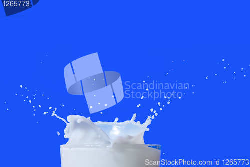 Image of Milk splash isolated on blue