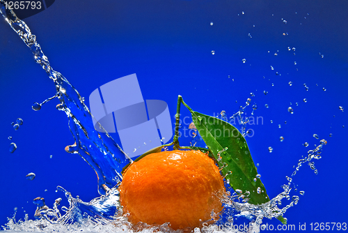Image of Tangerine with green leaves and water splash on blue background