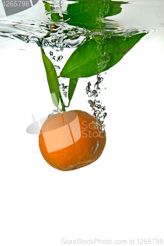 Image of tangerine dropped into water with bubbles on white