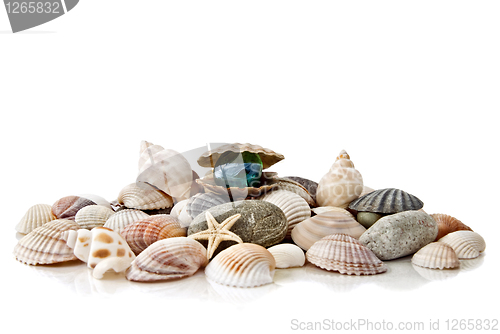 Image of various color shells with stylized pearl isolated on white