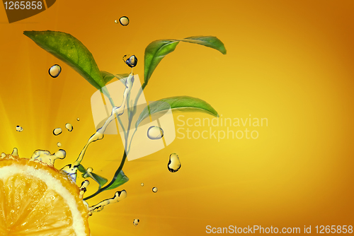 Image of water drops on lemon with green leaves on yellow