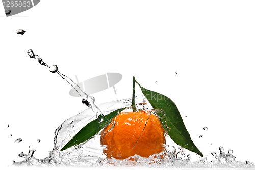 Image of Tangerine with green leaves and water splash isolated on white