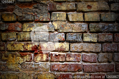 Image of Grunge old bricks wall texture