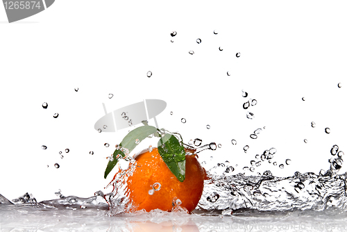 Image of Tangerine with water splash isolated on white